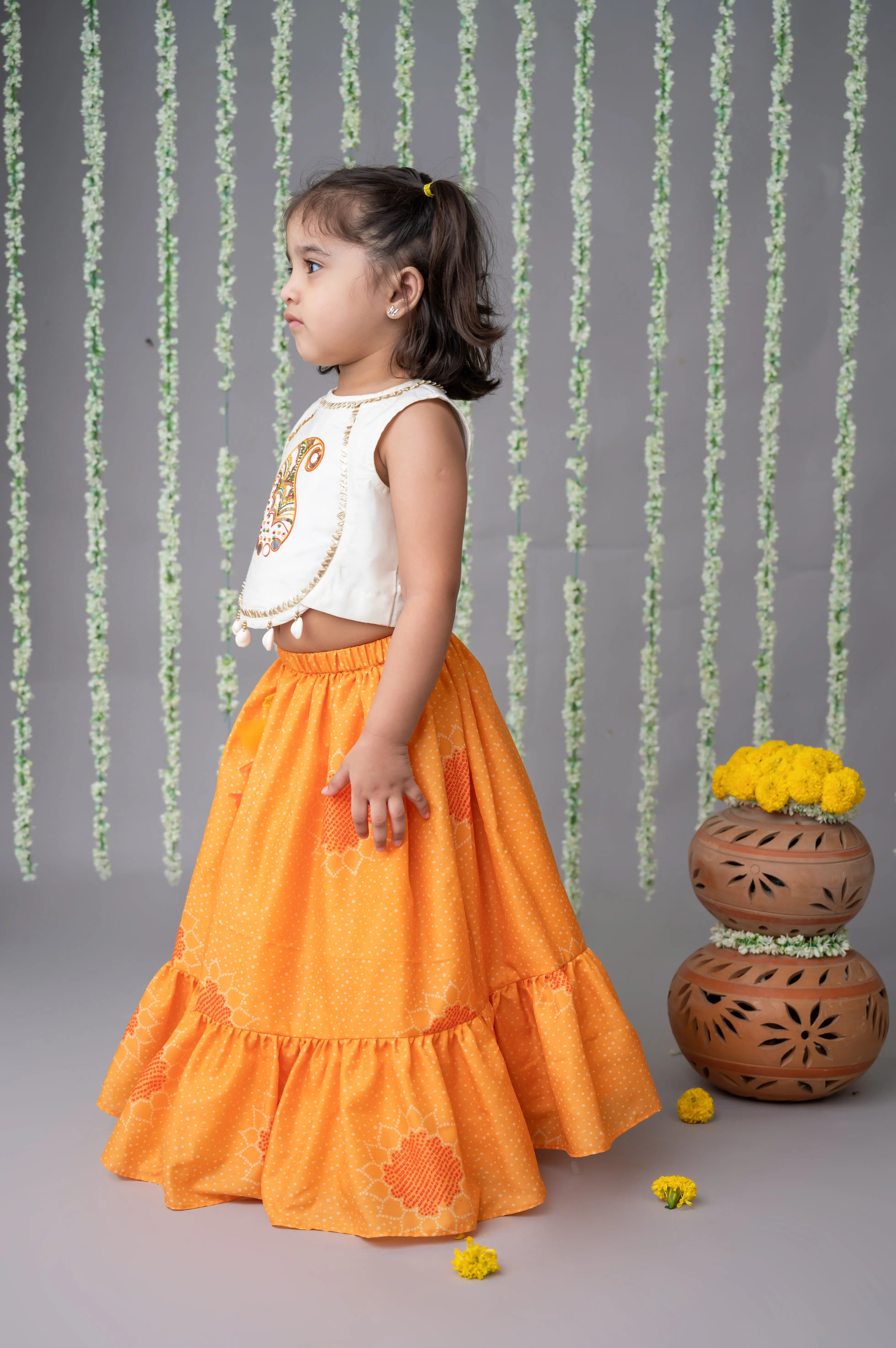 Pre-Order: Hand Embroidered Paisley top with Lehenga