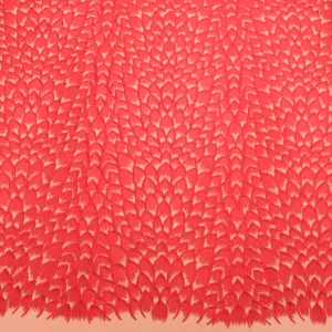 Red Feathers Skin Embroidered Tulle Fabric